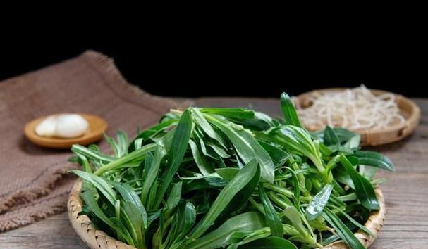 如何正确种植面条菜（掌握面条菜的种植时间和方法）