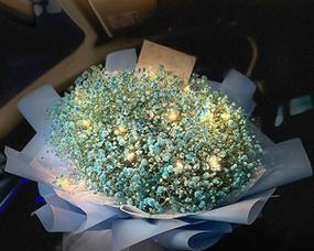 满天星花语，寄托无尽的思念（忘却不了的满天星）