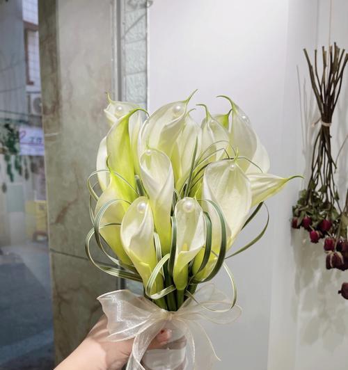 白色马蹄莲的花语与寓意（揭示神秘的花语）