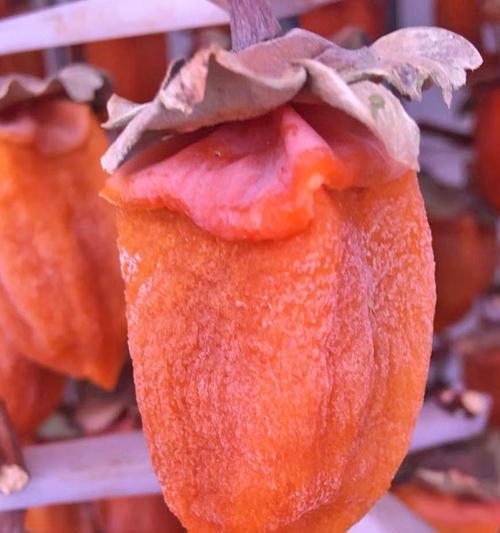 探寻神秘的柿饼文化（了解柿饼的发源地和制作工艺）