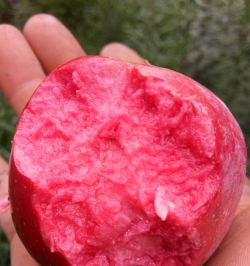 解密苹果果肉的颜色奥秘（从红色到黄色）
