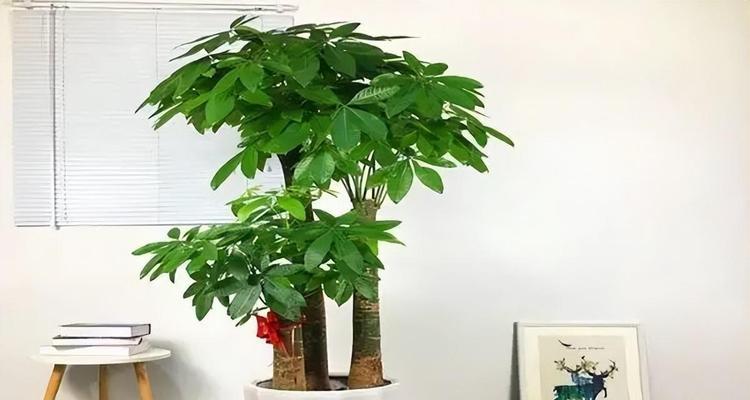 苹果树的养殖方法和注意事项（打造高产优质果园）