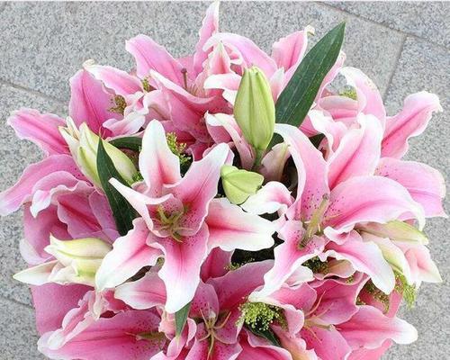 白色百合花的花语与意义（美丽纯洁的白色百合传递的花语和象征）