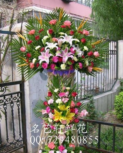 以一帆风顺花为寓意的花语与意义（一帆风顺花的传达与象征力）