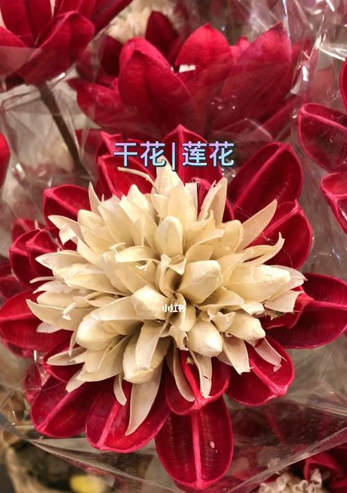 永生花的花语与寓意解读（传递永恒与美好）