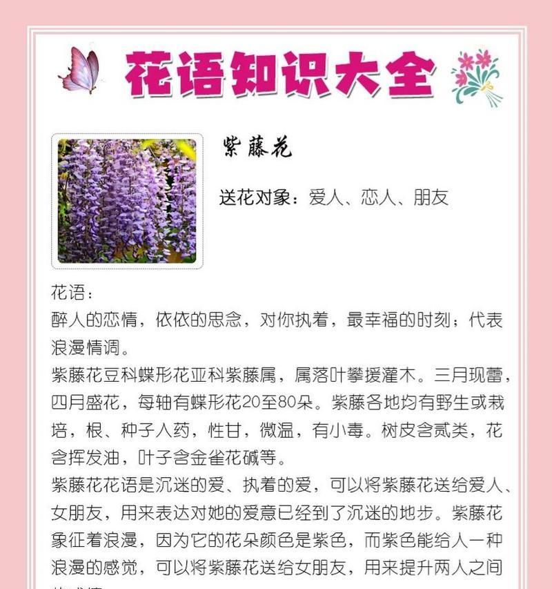 紫藤的花语与美丽秘密（探寻紫藤的花语）
