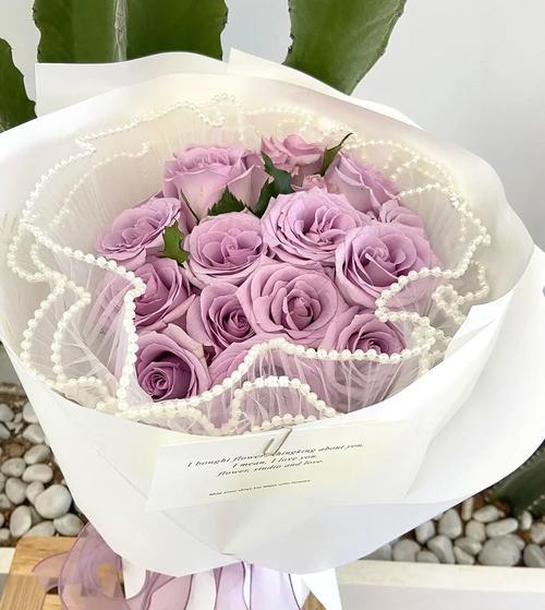 海洋之歌玫瑰花语（以海洋之歌玫瑰花语探寻爱与希望的含义）