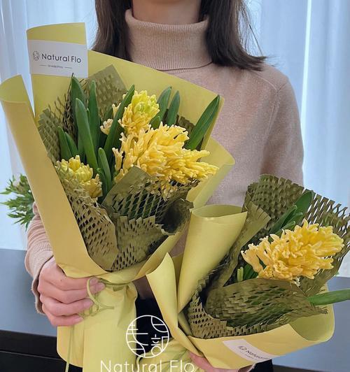 黄色风信子花语的魅力（探索黄色风信子花语的意义与象征）