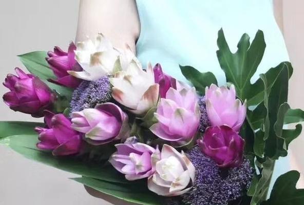 姜荷花（赏析姜荷花的花语与魅力）