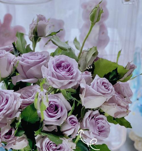 九星蓝狐玫瑰花语解读（传递爱与祝福的花语之美——九星蓝狐玫瑰）