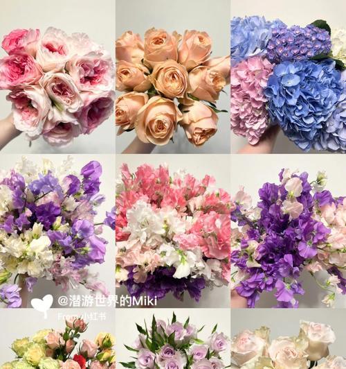 九星蓝狐玫瑰花语解读（传递爱与祝福的花语之美——九星蓝狐玫瑰）