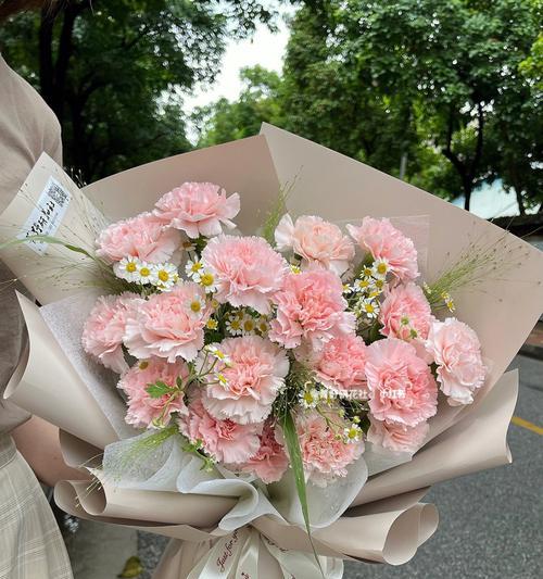 康乃馨花的含义与象征（康乃馨花的美丽与深情）