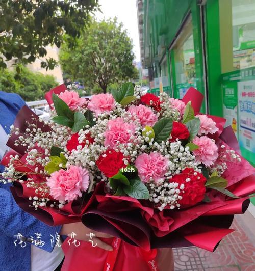 康乃馨花的象征意义（康乃馨花的象征意义及其文化背景）