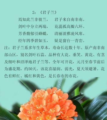九里香的浇水技巧（正确的浇水时间）