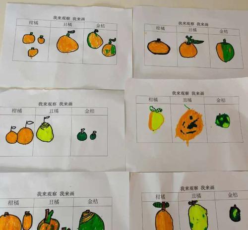 桔子的生长环境与适宜种植地（从土壤）