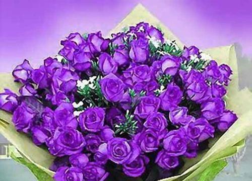 玫瑰花的花语与意义解析（探寻玫瑰花的神秘语言与象征意义）