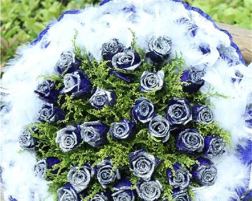 玫瑰花蓝色妖姬（解读蓝色妖姬的象征意义及文化背景）