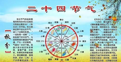 如何合理种植秋葵（种植秋葵的时间和方法）