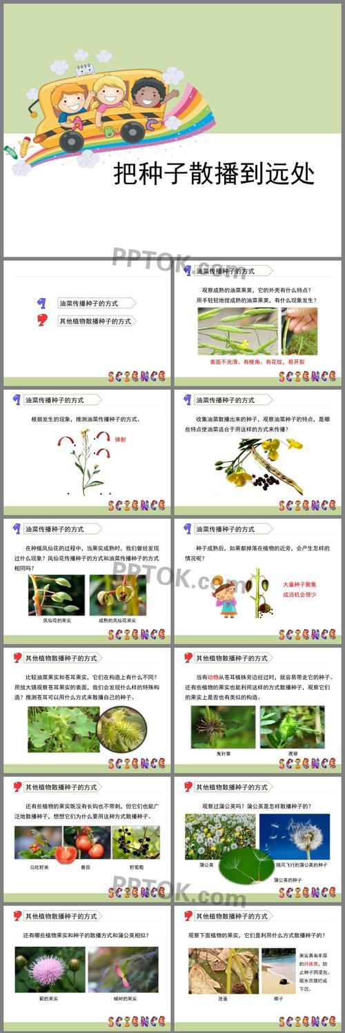 驱蚊草种子发芽时间（种子发芽周期）