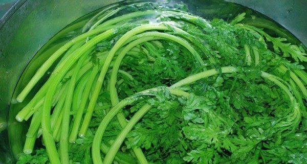 雪菜和辣菜的区别剖析（菜品之争）