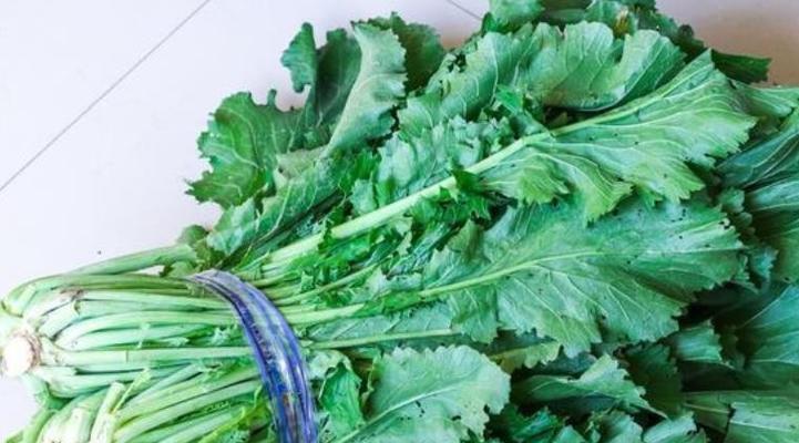 雪菜和辣菜的区别剖析（菜品之争）