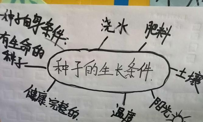 勋章菊种子的种植方法（从选种到收获）