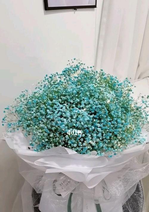 满天星的花语与传说（满天星的花语和传说）