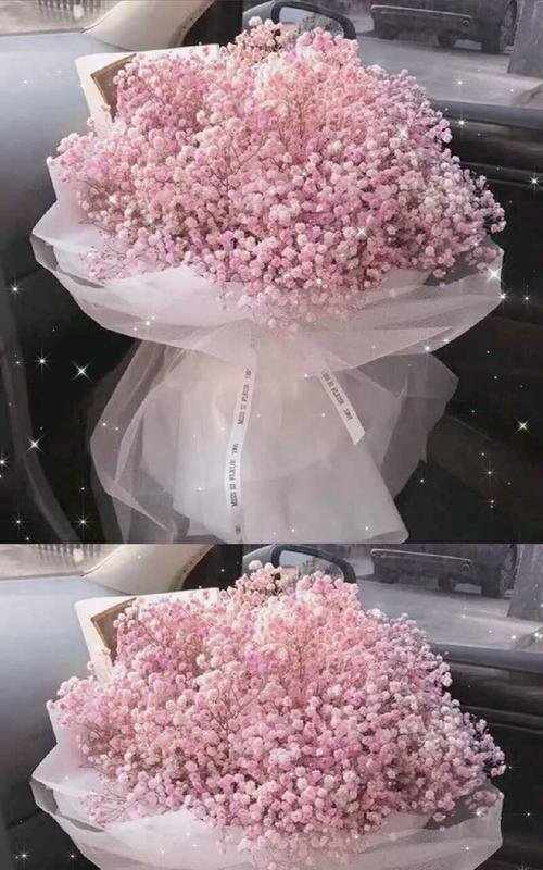 满天星花海，南色绽放（追寻浪漫的花海梦）