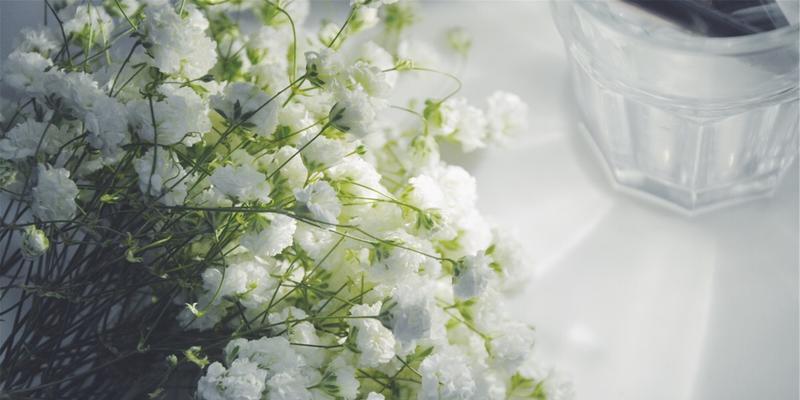满天星花海，南色绽放（追寻浪漫的花海梦）