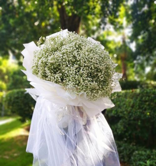 满天星鲜花的意义与象征（解读满天星花语）