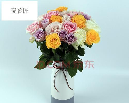 探秘以玫瑰家庭（从爱的花瓣）