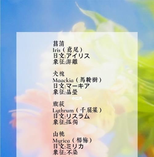梅花花语的含义与象征（探寻梅花的深层含义）