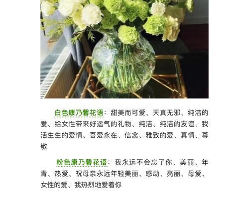 母亲节康乃馨盆景的美丽花语（表达爱意的康乃馨盆景）