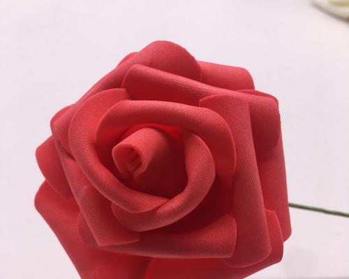 玫瑰花的象征意义与传说（探寻玫瑰花的内涵与美丽）