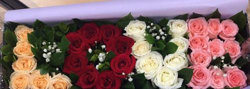 9朵玫瑰花语的意义与传承（浪漫传统的九朵花语）