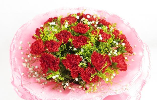 红色康乃馨花语（表达浓浓爱意）