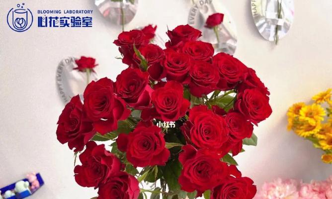 红色玫瑰的花语（红色玫瑰传递的情感与意义）