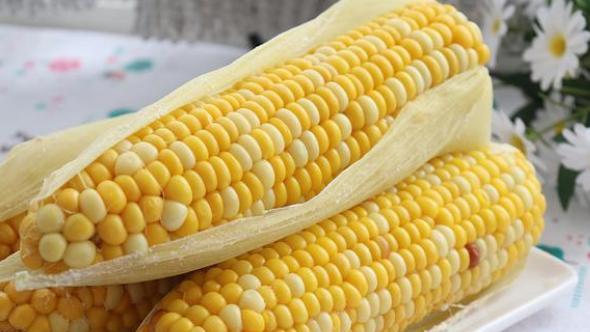 大米含糖量高吗（大米中的糖分含量及其对健康的影响）