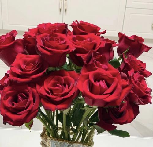 19朵红色玫瑰花的浪漫与传情之意（传递爱意的19朵红玫瑰花与幸福的祝愿）
