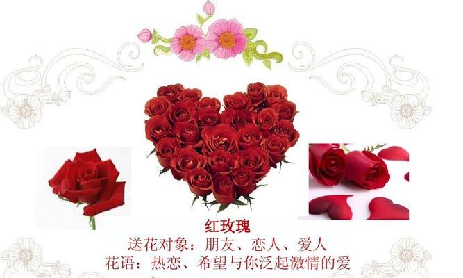 粉色玫瑰花语与情感的表达（揭示玫瑰花语中的深刻情感）