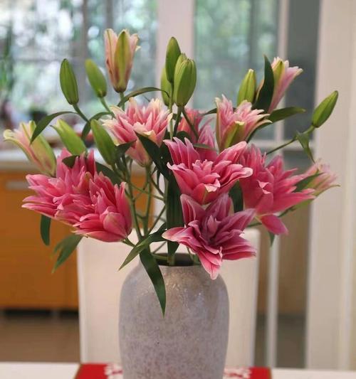 黄百合花的寓意与象征意义（揭示黄百合花的秘密）
