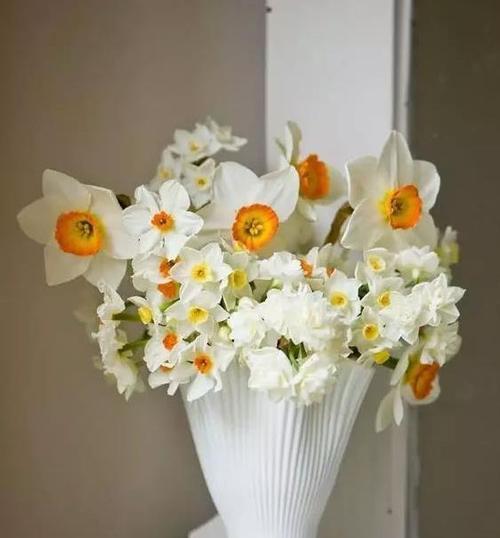 黄水仙花语与花卉文化的传承（绽放人生之美）