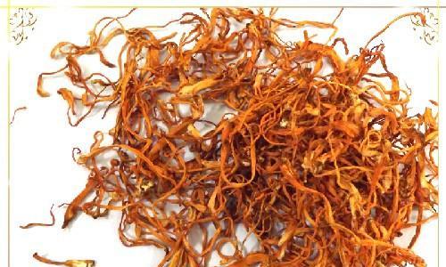 虫草花属于哪个植物类别？它的特性有哪些？