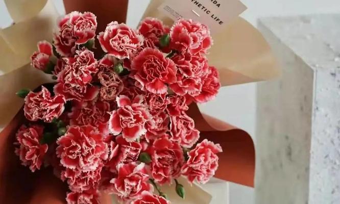 红色康乃馨代表什么？它的花语和寓意有哪些常见疑问解答？