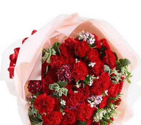 红色康乃馨代表什么？它的花语和寓意有哪些常见疑问解答？