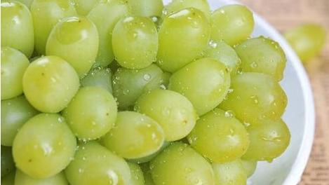 狗狗能吃提子吗？食用提子对宠物狗狗的影响是什么？