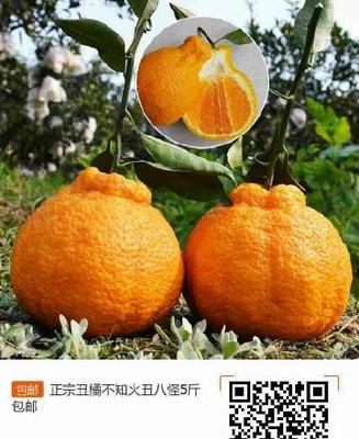 丑八怪果实在何时达到最佳食用期？