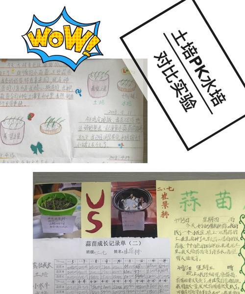 丑橘栽种方法和注意事项？如何确保丑橘健康生长？