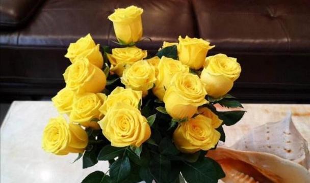 初恋送什么花最合适？花语背后的含义是什么？