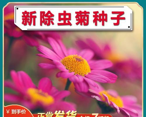 除虫菊种子发芽需要多长时间？如何促进更快发芽？
